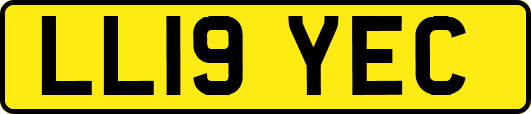 LL19YEC