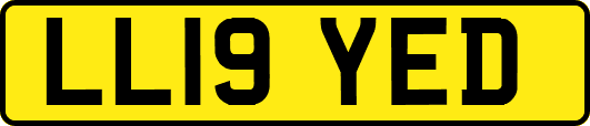 LL19YED