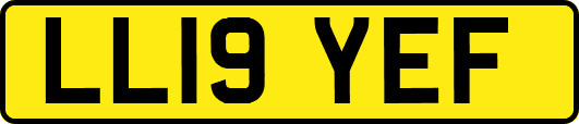 LL19YEF