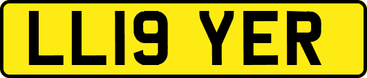 LL19YER