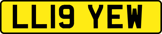LL19YEW