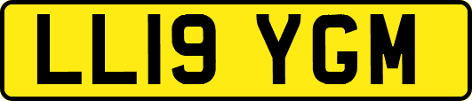 LL19YGM
