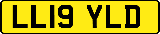 LL19YLD