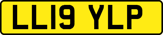 LL19YLP
