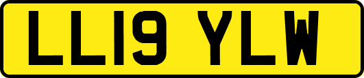 LL19YLW