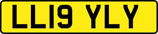 LL19YLY