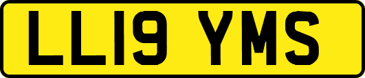 LL19YMS