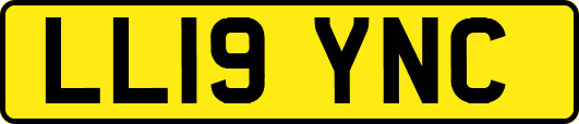 LL19YNC