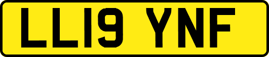 LL19YNF