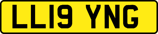 LL19YNG