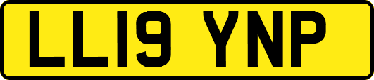 LL19YNP