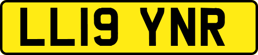 LL19YNR