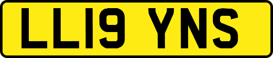 LL19YNS
