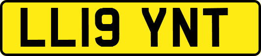 LL19YNT