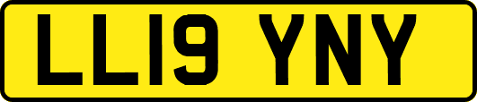 LL19YNY