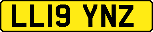 LL19YNZ