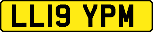 LL19YPM