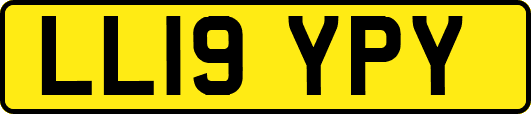 LL19YPY