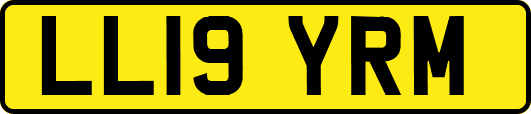 LL19YRM