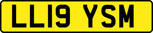 LL19YSM