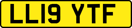 LL19YTF