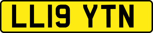 LL19YTN