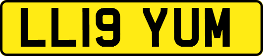 LL19YUM