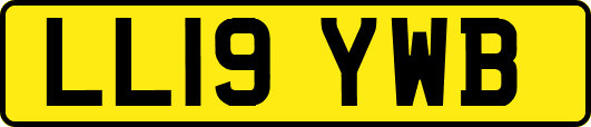 LL19YWB