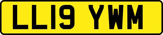 LL19YWM