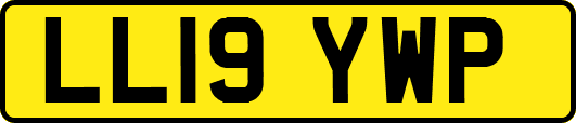 LL19YWP