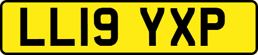 LL19YXP
