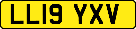 LL19YXV