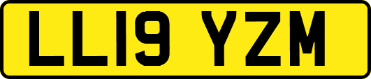 LL19YZM