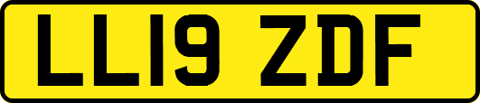 LL19ZDF