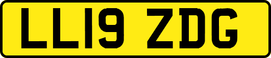 LL19ZDG