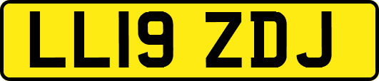 LL19ZDJ