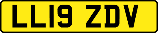 LL19ZDV