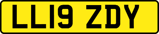 LL19ZDY