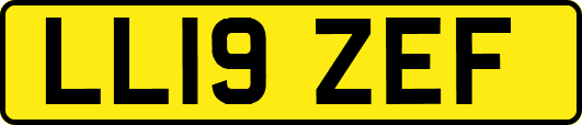 LL19ZEF
