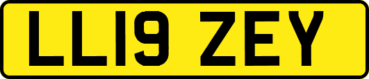LL19ZEY
