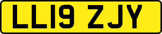 LL19ZJY