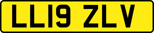LL19ZLV