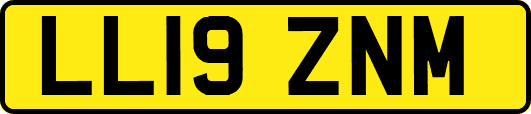 LL19ZNM