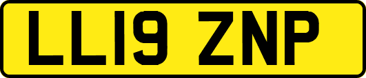 LL19ZNP