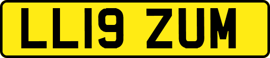 LL19ZUM
