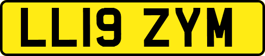 LL19ZYM