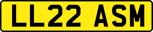LL22ASM
