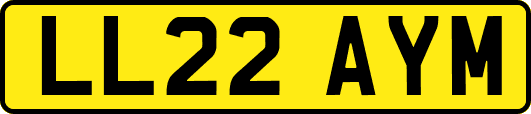 LL22AYM