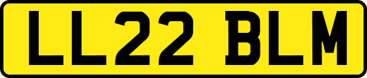 LL22BLM