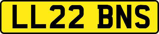 LL22BNS